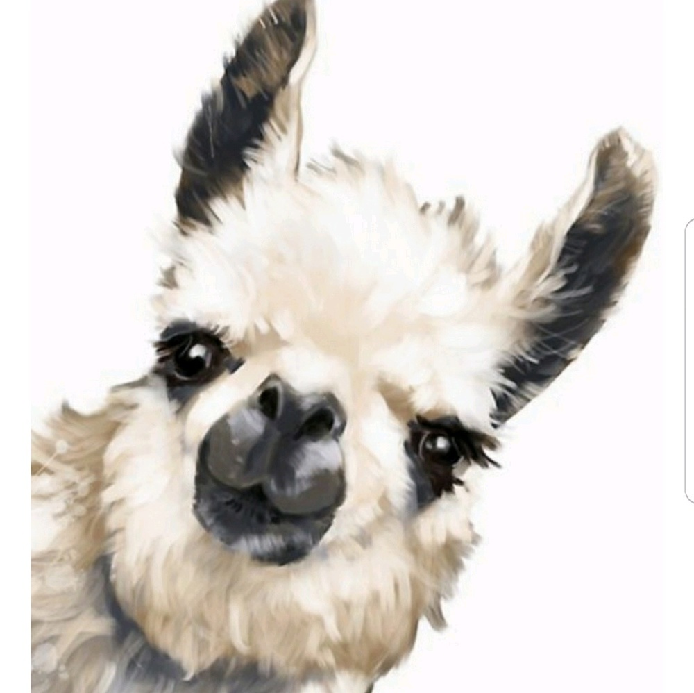 Meet your Posher, Kris